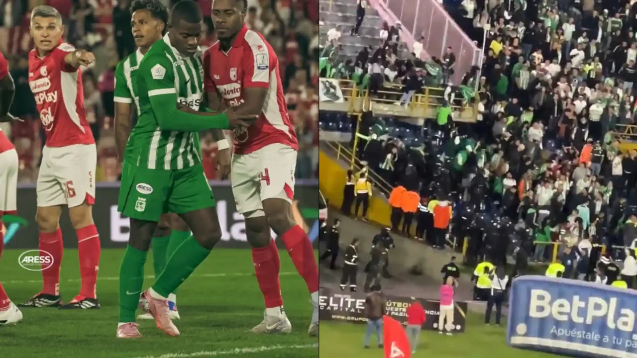 Cause of Fight Between Atlético Nacional Fans in Bogotá Revealed