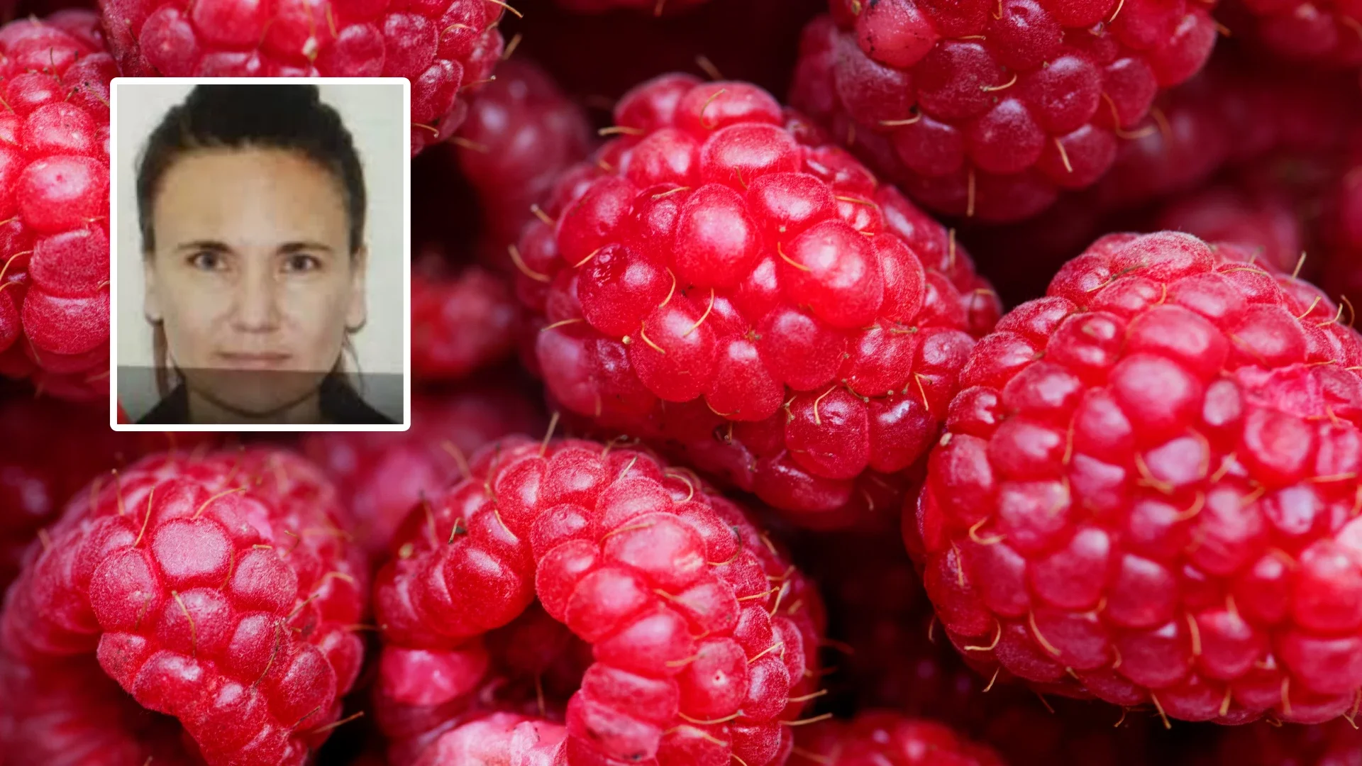 Foto: Freepik | Fiscalía.