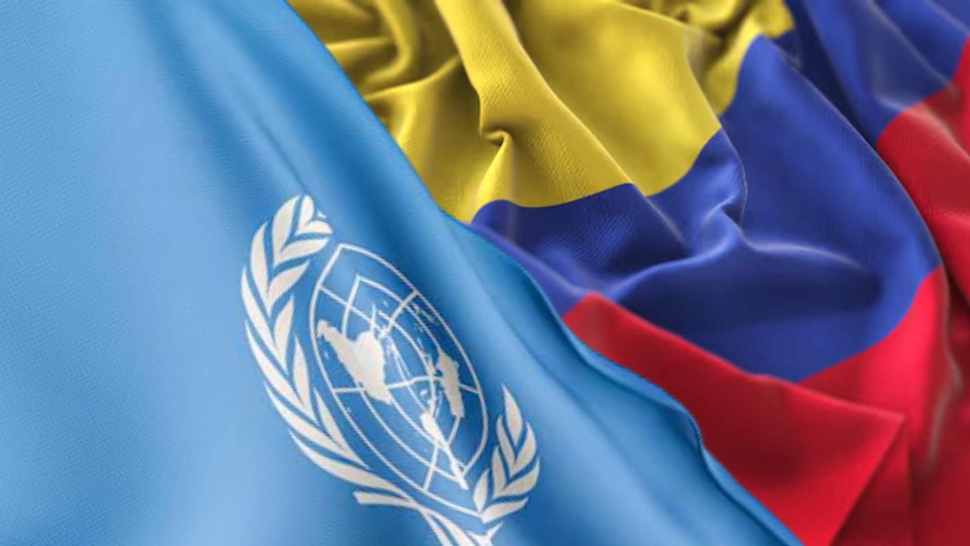 Foto: montaje realizado con imágenes de Freepik