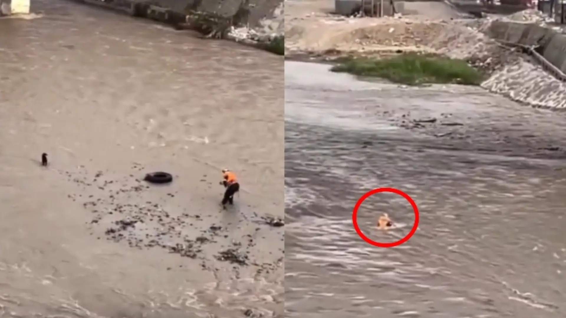 Bombero murió intentando rescatar a un perro en un río de Lima