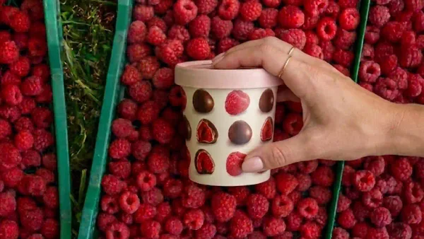 La tendencia que está redefiniendo el consumo de alimentos en Colombia