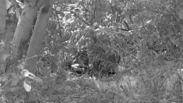 Revelan que los asesinos de dos hermanas de 14 y 17 años en Malambo son menores de edad