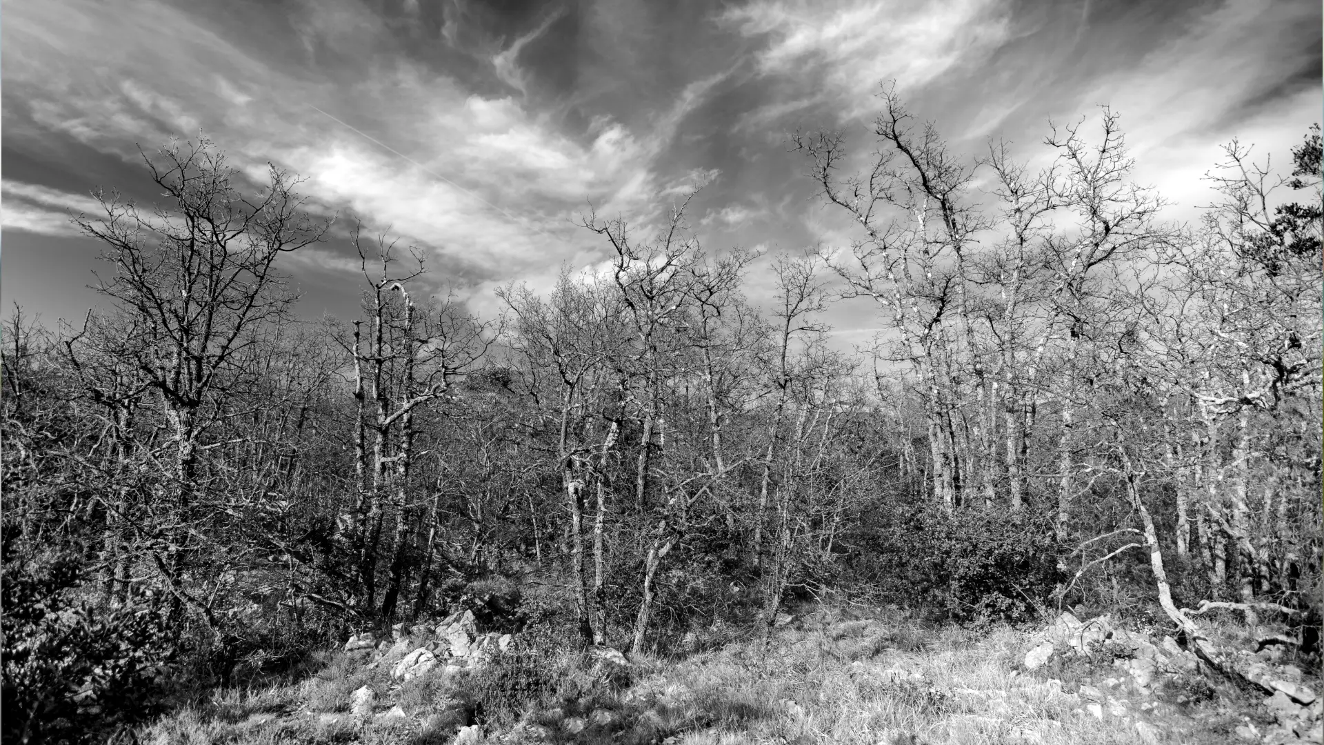Macabro crimen dos hermanas