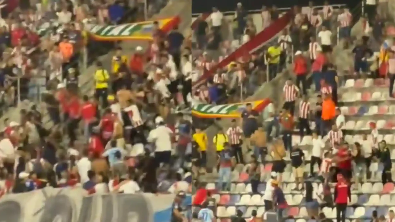 Junior fans got into a fight amid the defeat against Atlético Nacional