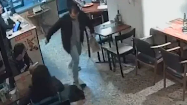 Indignante: hombre le pisó violentamente la cola a una perrita en Bogotá luego de que le ladrara