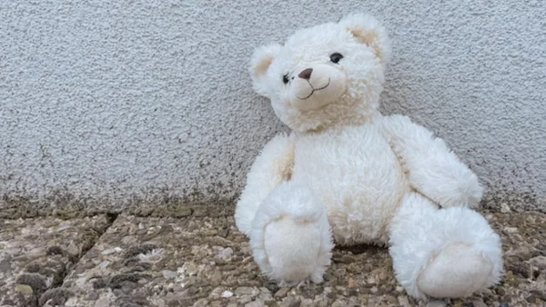 Explotación sexual de menores viene en aumento en Medellin: 36 depredadores han sido capturados en 2026 Explotación sexual de menores viene en aumento en Medellin: 36 depredadores han sido capturados en 2026