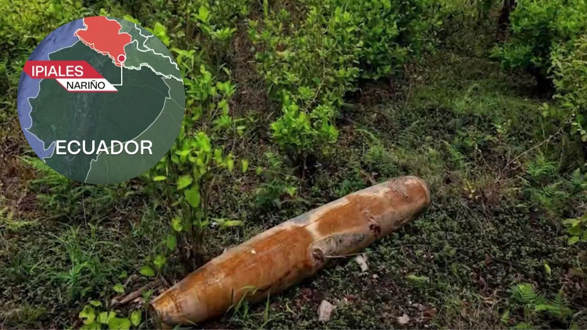 Foto: emisión de Noticias RCN