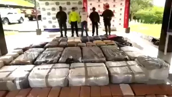 Incautan casi una tonelada de marihuana en el Cauca: disidencias estarían detrás del cargamento