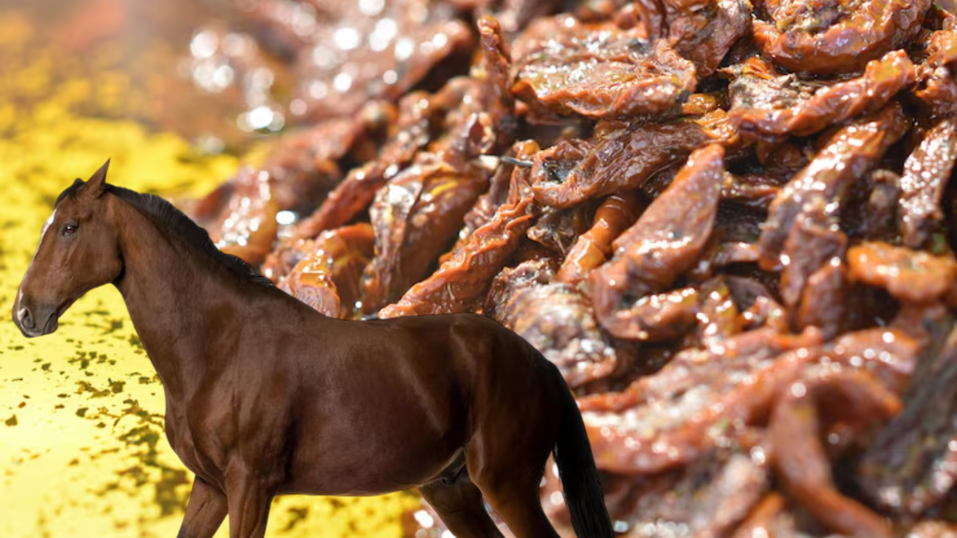 Foto: montaje realizado con imágenes de Freepik