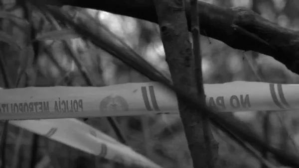 Hallan cuerpo de un menor de 15 años descuartizado dentro de un costal en Itagüí: estaba desaparecido