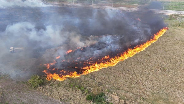 VIDEO | Incendios forestales en Casanare: 15 municipios bajo emergencia por altas temperaturas y vientos