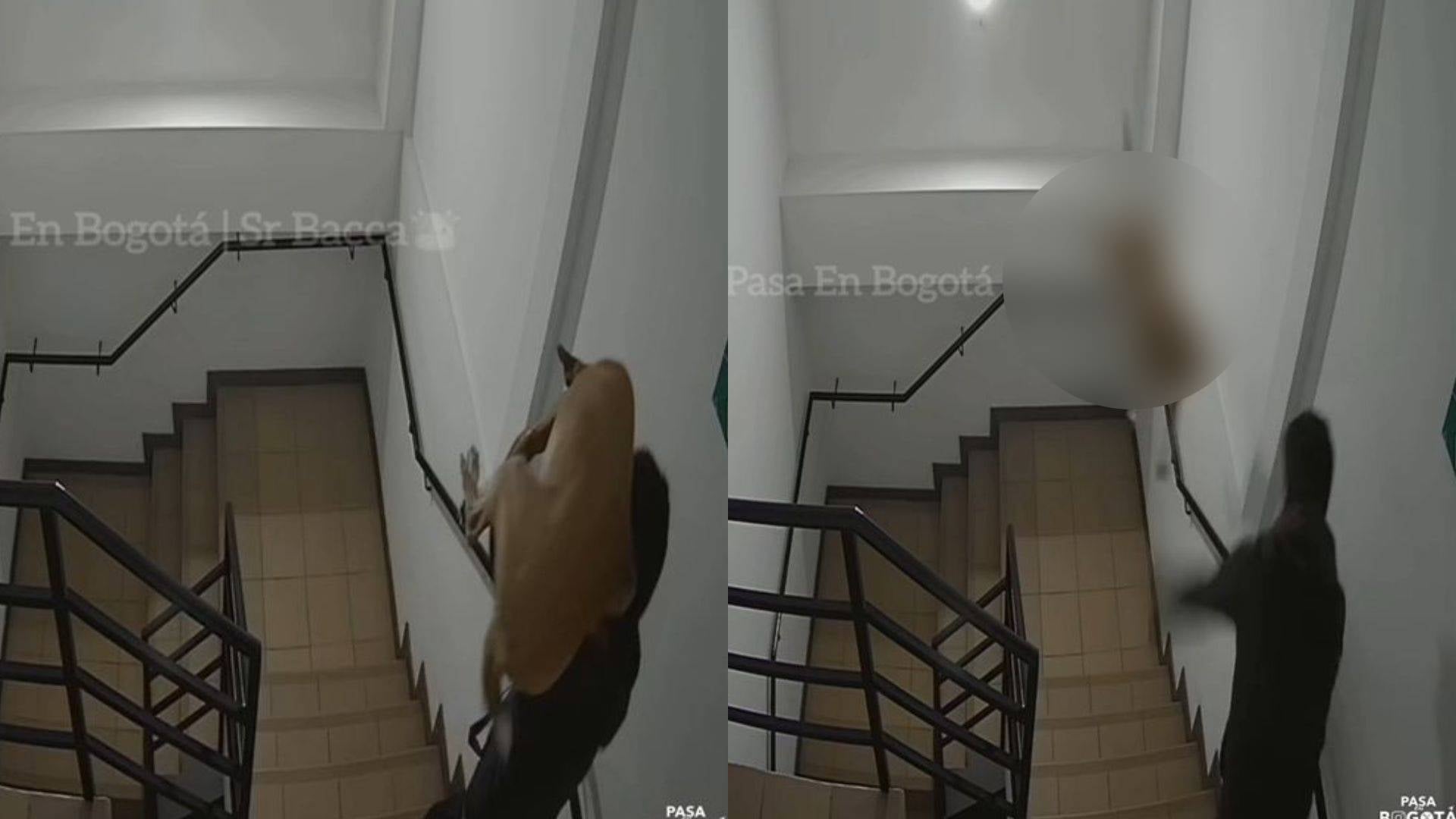 Foto: IG @pasa_enbogota