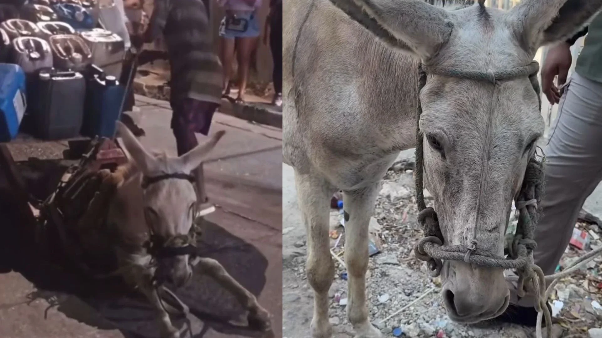 Foto: IG@umata.cartagena