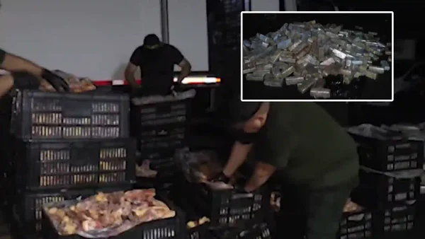 Insólito: en un camión de carne podrida fue hallado un gigantesco cargamento de droga Insólito: en un camión de carne podrida fue hallado un gigantesco cargamento de droga
