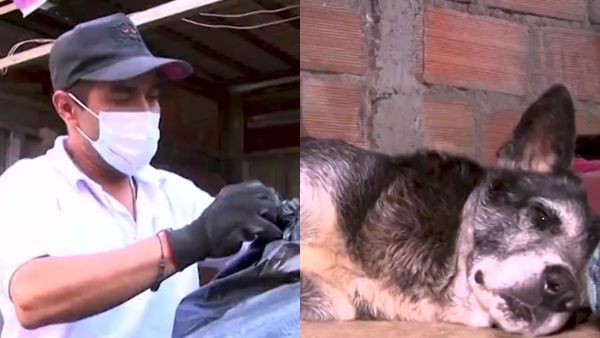 Juan, el hombre que encuentra en el reciclaje una esperanza para salvar a decenas de animales en Medellín Juan, el hombre que encuentra en el reciclaje una esperanza para salvar a decenas de animales en Medellín