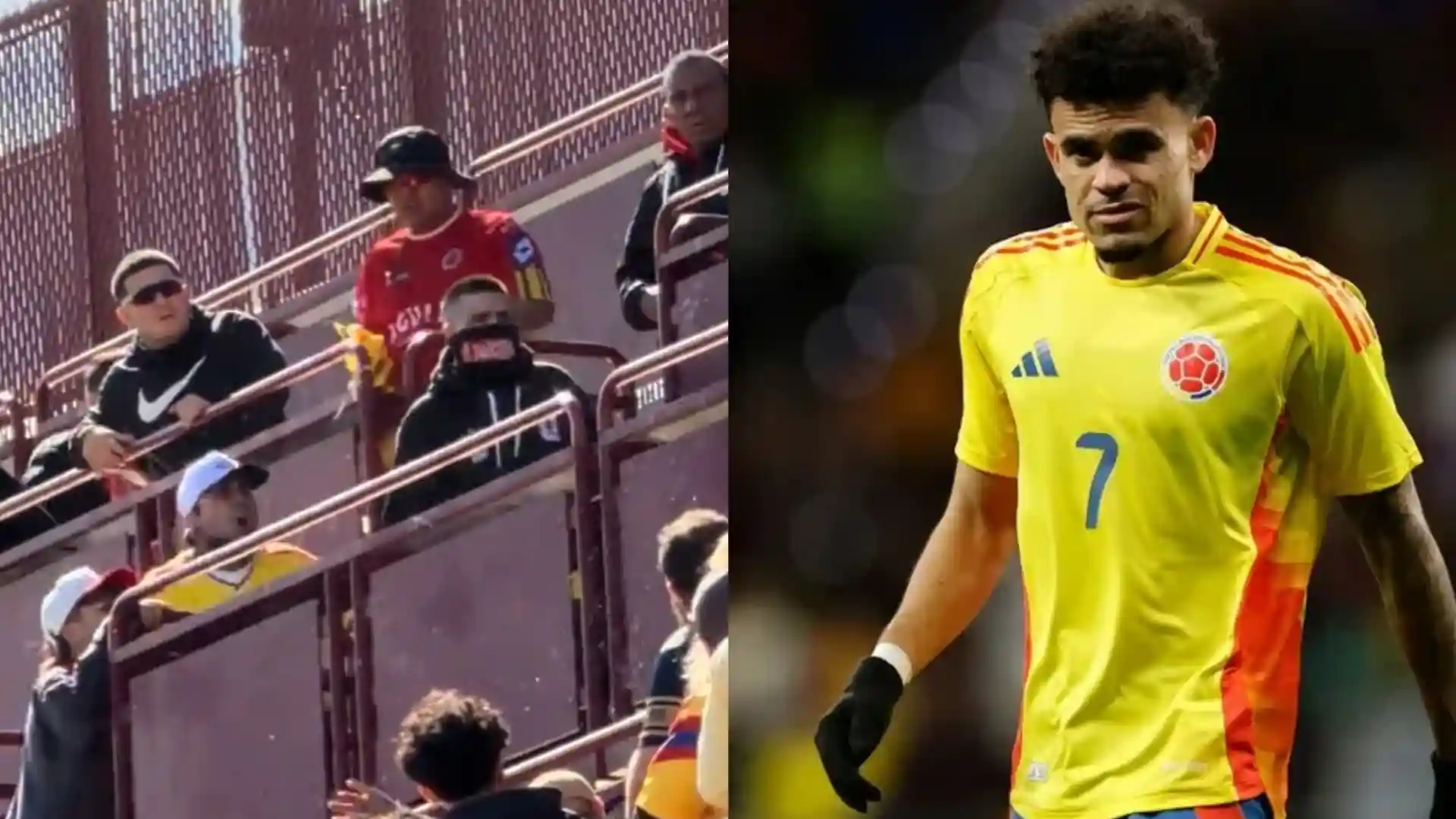 video pelea hinchas seleccion colombia vs francia