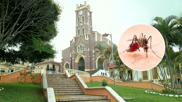 Las zonas de Colombia con advertencia por alto riesgo de fiebre amarilla en Semana Santa