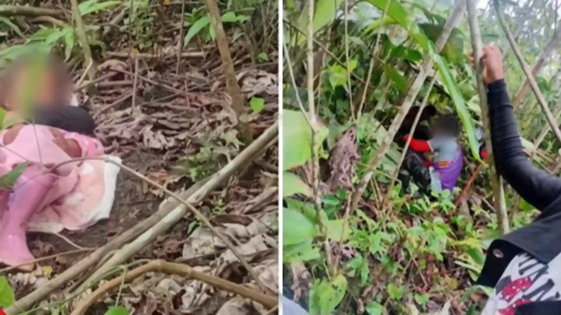 El punto exacto de la selva donde encontraron a los cinco niños de 3 y 16 años que se escondían de alias Calarcá