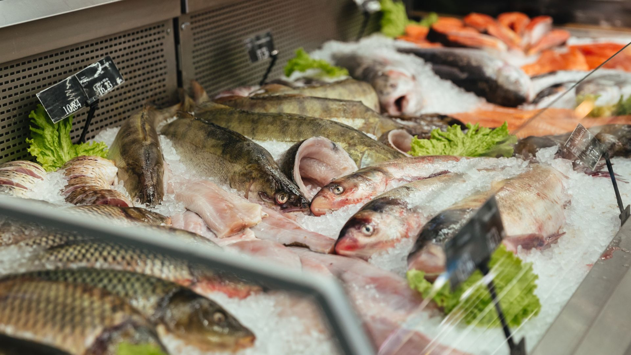 Authorities seized 200 kilos of fish in Bogotá during Holy Week operations