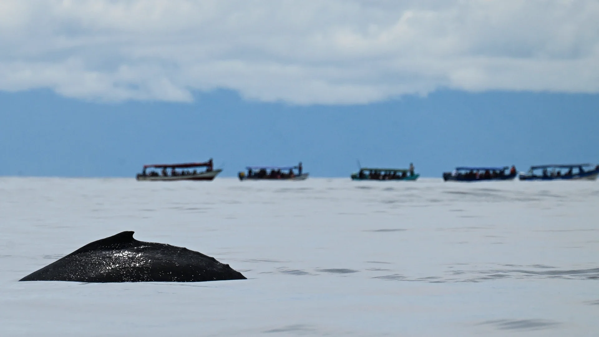 Océano Pacífico en Colombia.