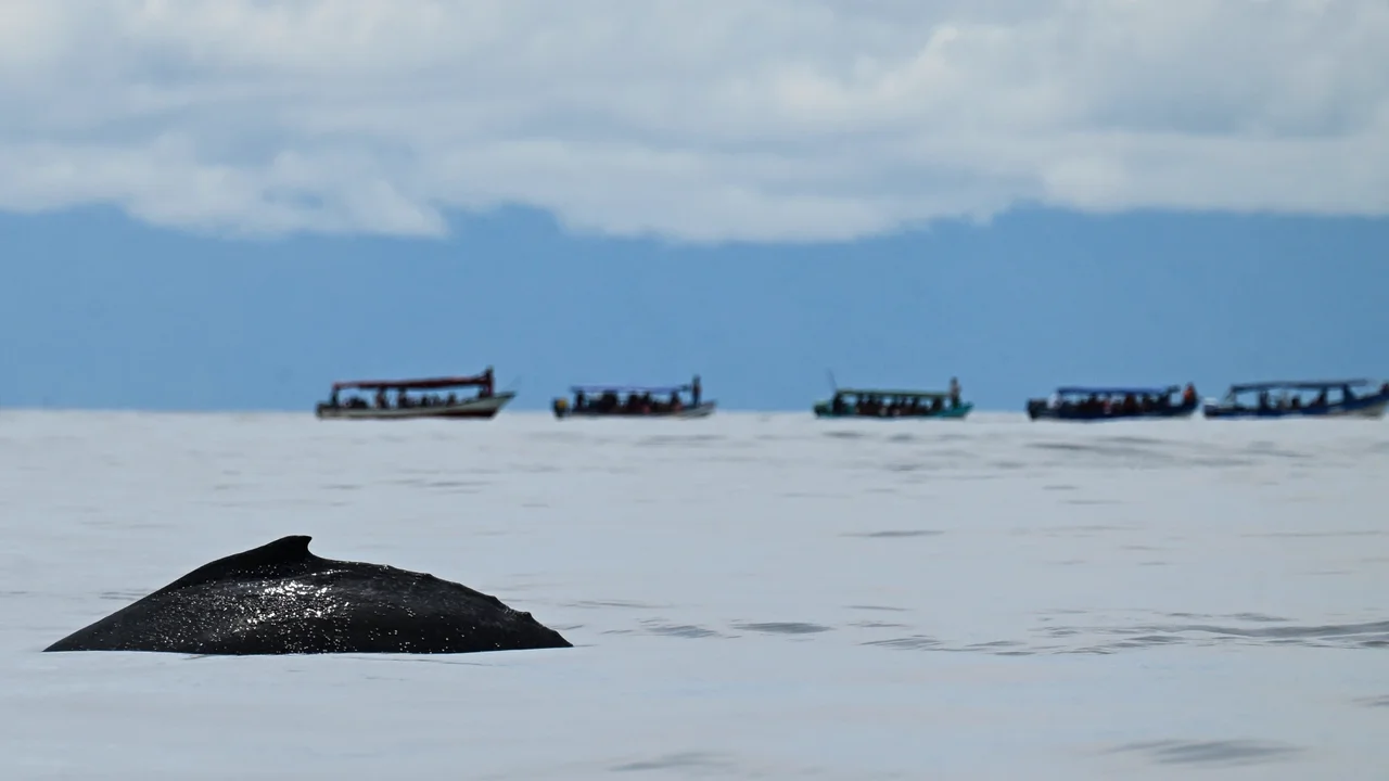 Is there a tsunami risk in Colombia after the earthquake near Indonesia's coast?