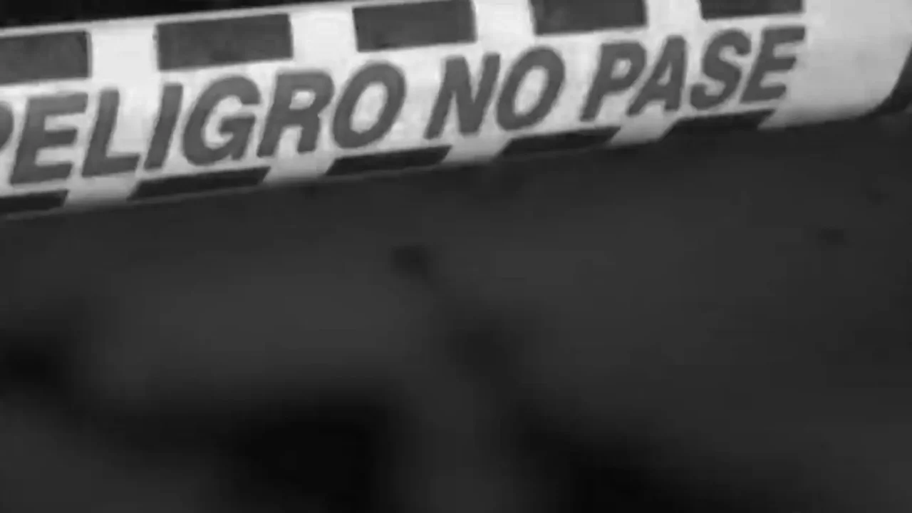 Terror en Bogotá: hallan una cabeza humana junto a un árbol, en plena vía pública