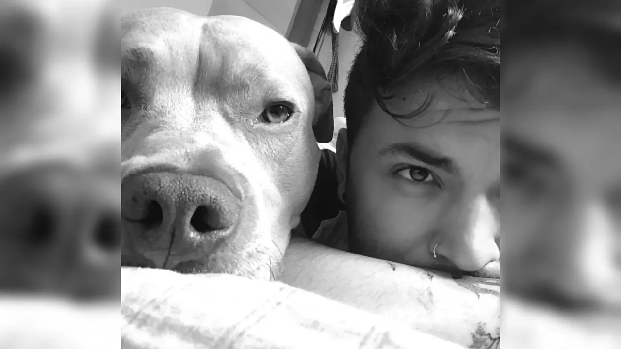 Influencer Camilo Triana is mourning after confirming the death of his dog Magnus