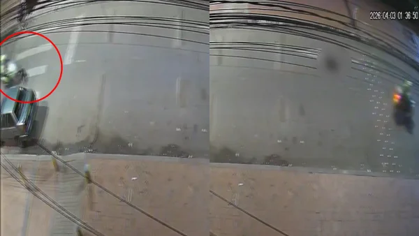 Policía investiga atropello de perra por motocicleta oficial en Bogotá: el animal está estable