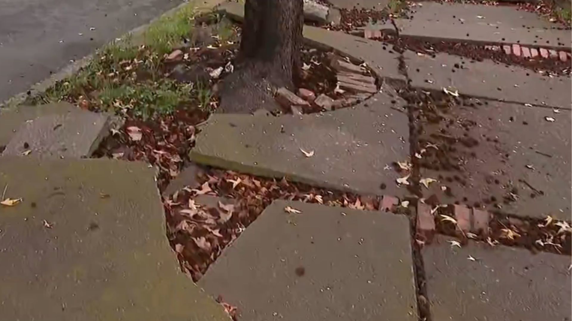 Foto: emisión de Noticias RCN