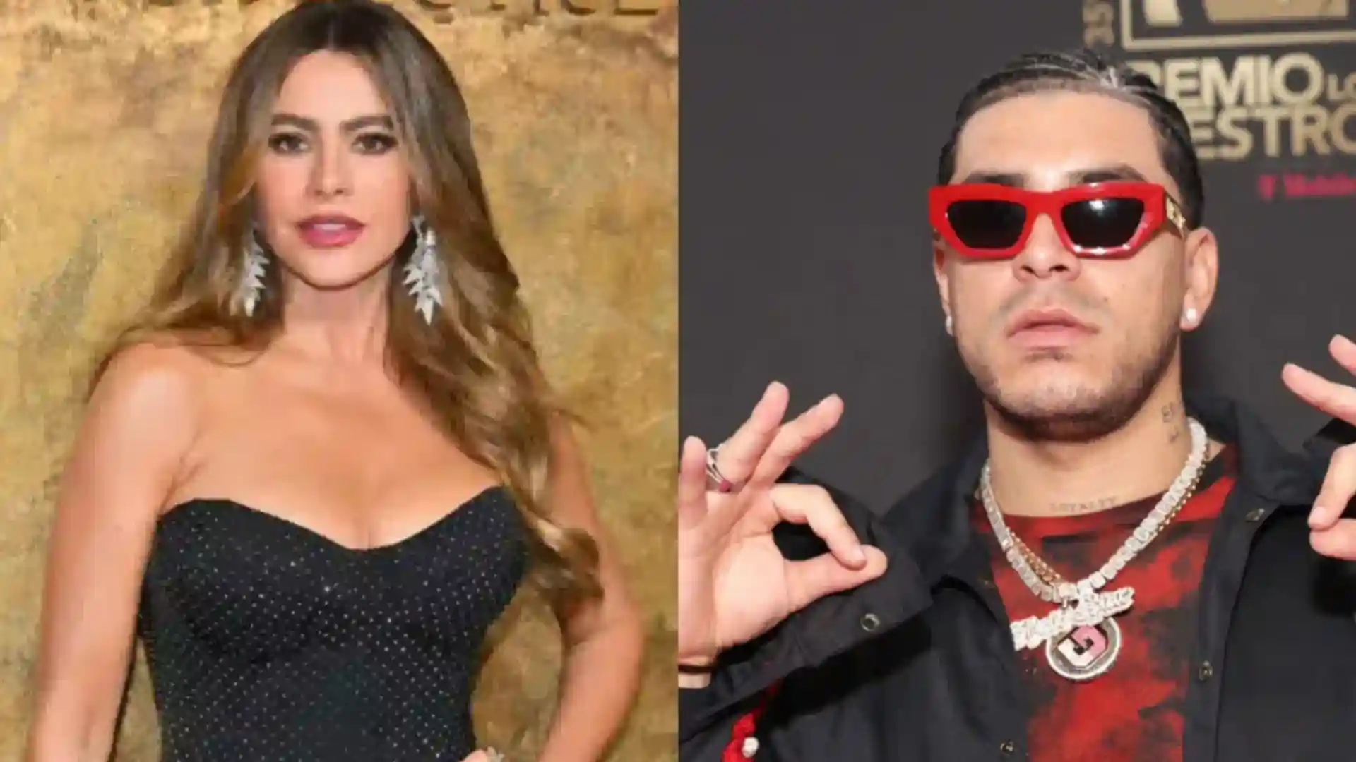 Sofía Vergara y Ryan Castro