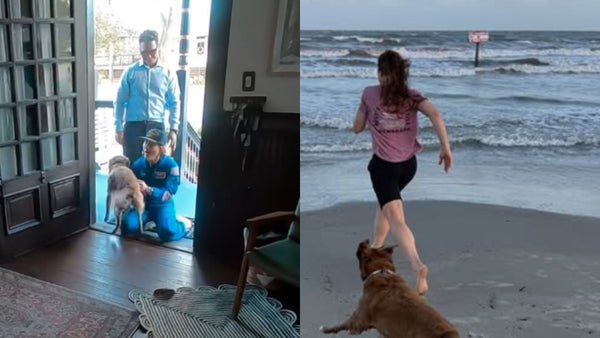 Así fue el reencuentro de Christina Koch con su mascota tras su misión en Artemis II