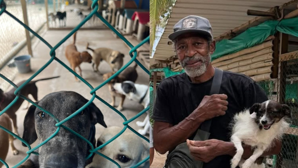 Rescatista de animales en San Andrés denunció amenazas de muerte por buscar alimento para sus mascotas