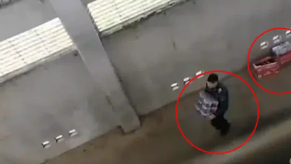 Videos revelan el ingreso de cajas de cerveza por guardias del Inpec y reclusos en cárcel de máxima seguridad