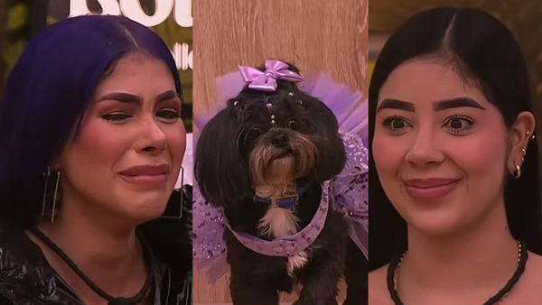 Llanto en La Casa de los Famosos: esta fue la jugadora que celebró el ingreso de su mascota