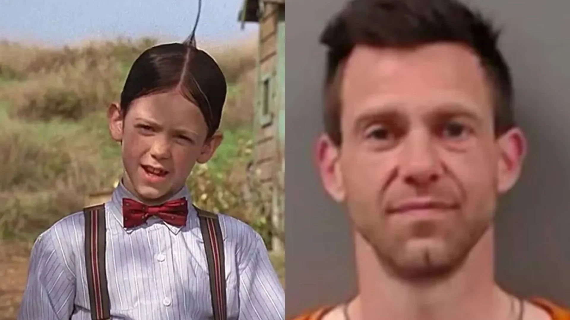 Alfalfa