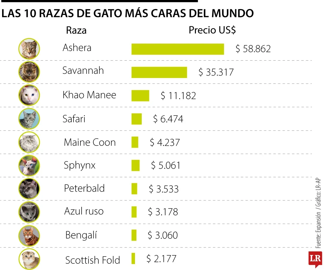 Razas más caras del mundo