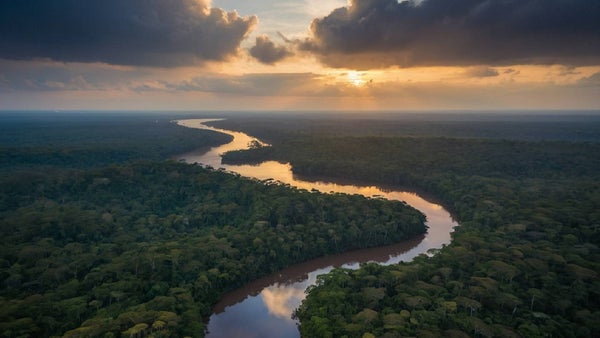 El plan de las ONG para salvar la Amazonía que llega a la FILBo