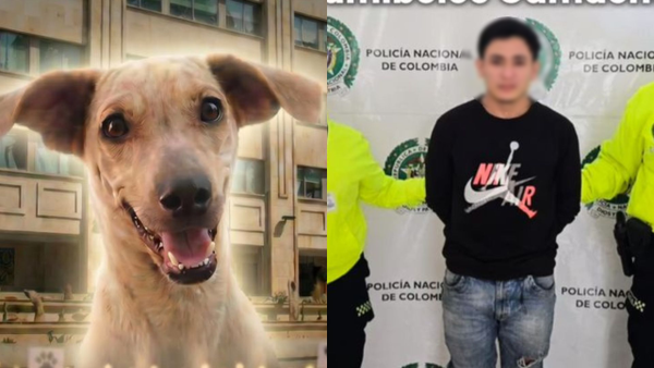 Capturan al agresor de Kira, la perrita golpeada y enterrada en Bucaramanga