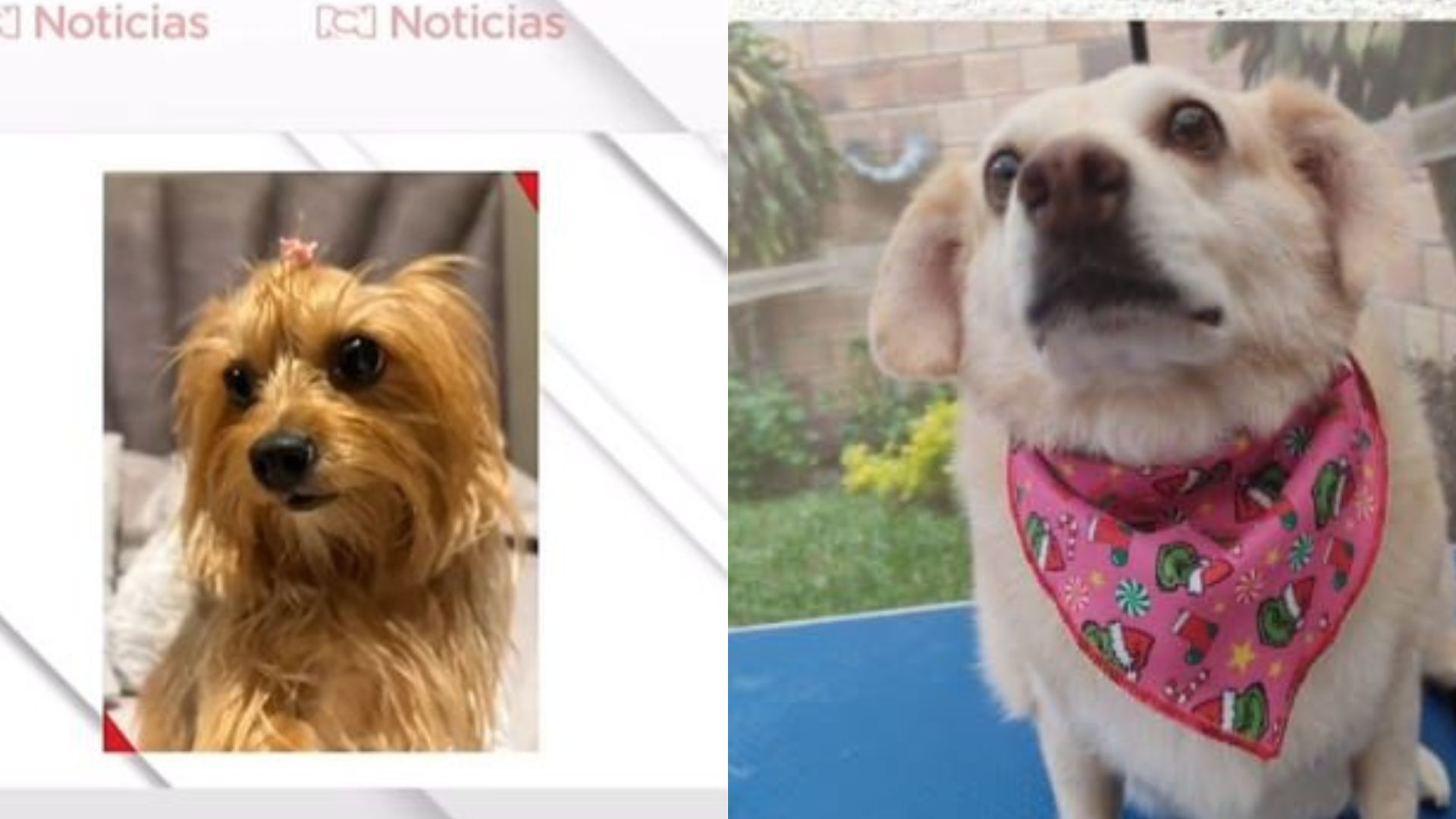 Foto: Captura pantalla Noticias RCN y Cortesía Noticias RCN