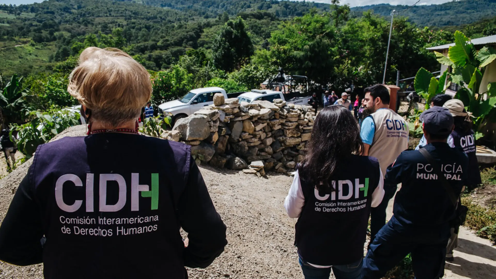 CIDH en Colombia