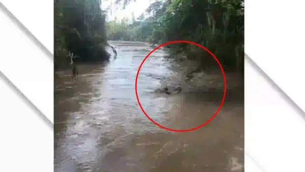 Intensifican la búsqueda de menor de 17 años desaparecido al ser arrastrado por un río en Candelaria, Valle