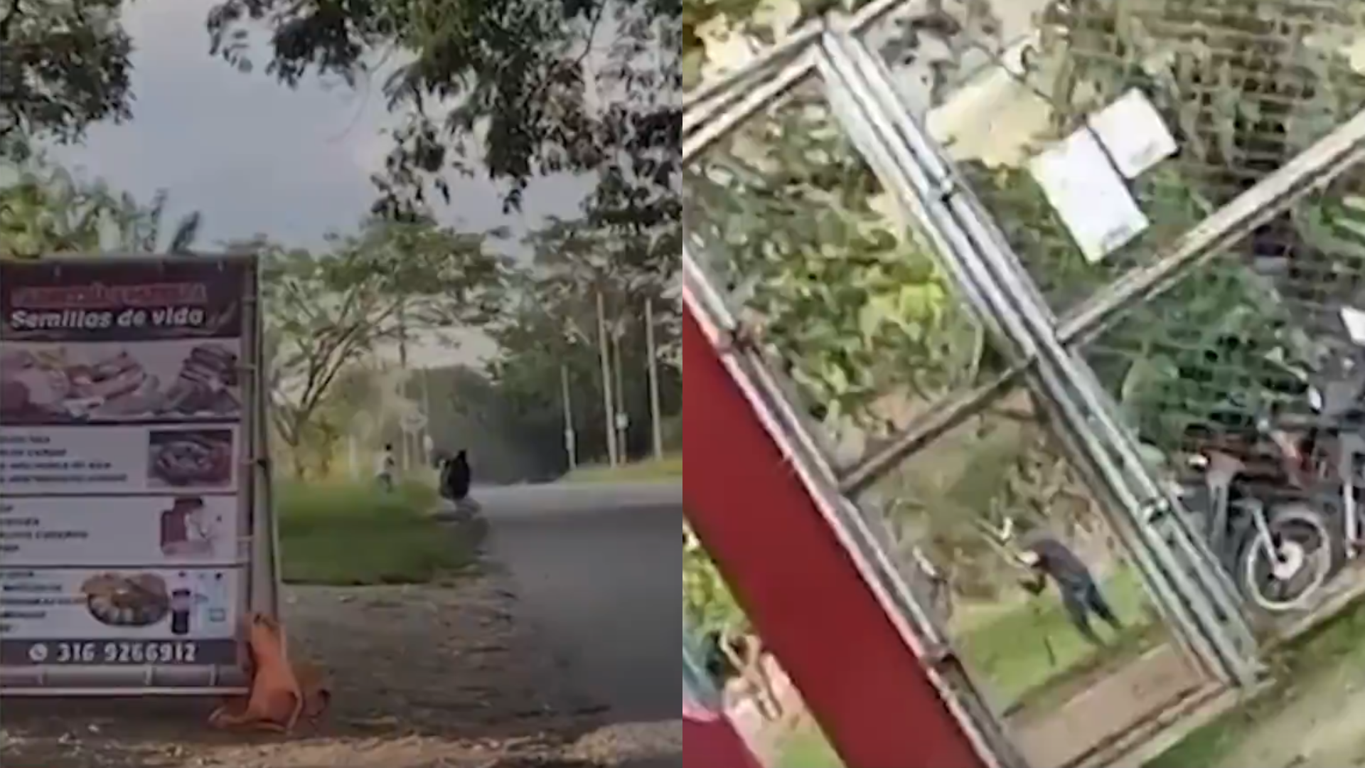 Foto: emisión de Noticias RCN