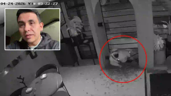 VIDEO | En menos de tres minutos ladrón se llevó una millonada en restaurante de Bogotá: así lo hizo