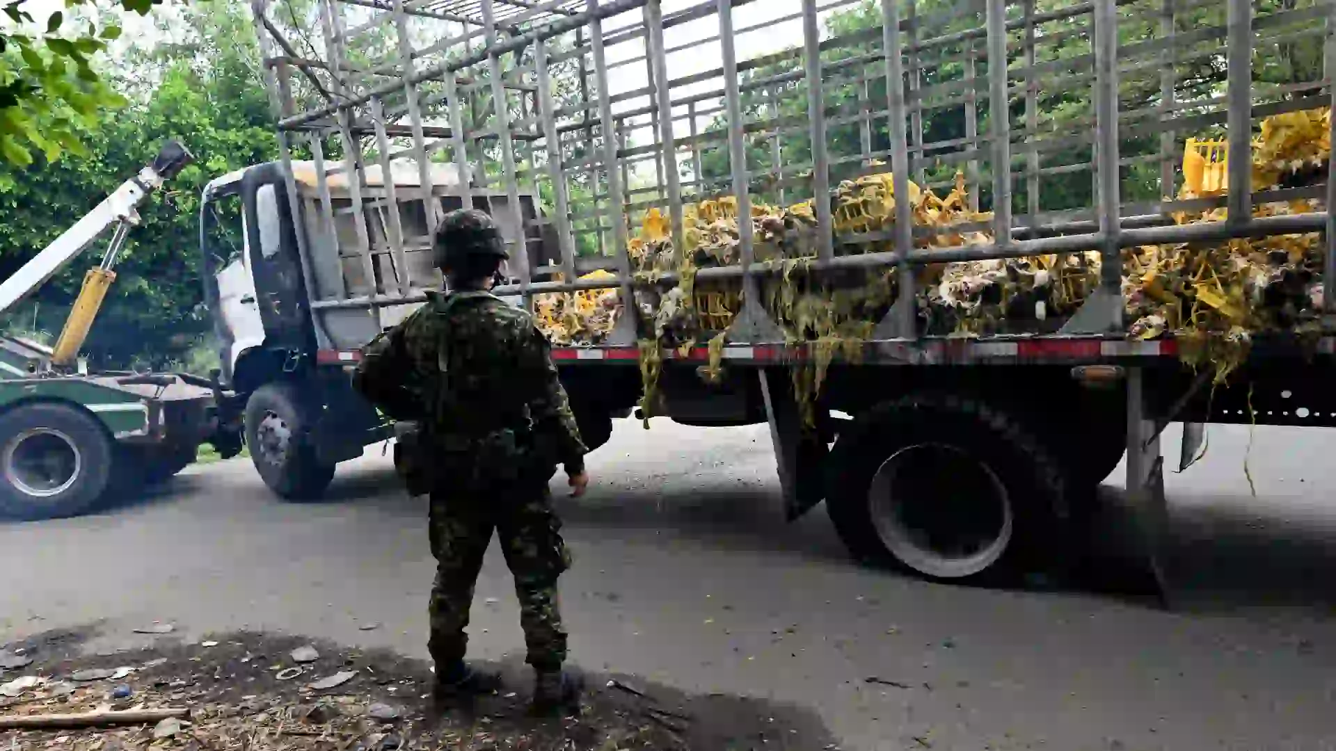 ¿Quiénes están detrás de la ola de atentados que dejan 20 muertos?