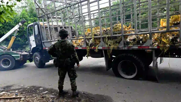 ¿Quiénes están detrás de la ola de atentados que dejan 20 muertos?