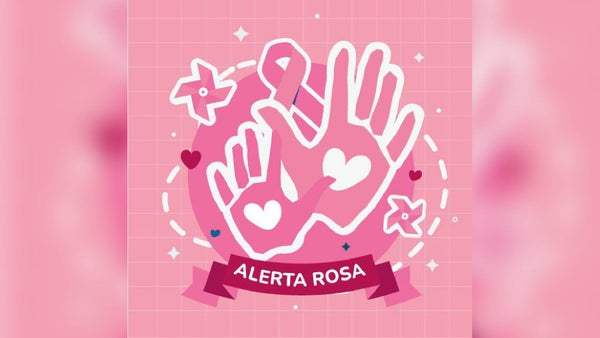Si desaparece una mujer o un niño, ya no habrá espera: activaron el mecanismo 'Alerta Rosa' Si desaparece una mujer o un niño, ya no habrá espera: activaron el mecanismo 'Alerta Rosa'