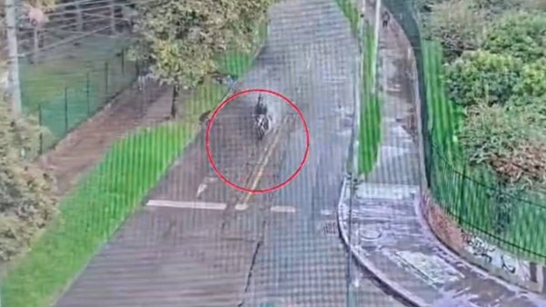 VIDEO | Se desató persecución tras atraco a una mujer con cuchillo en San Cristóbal, Bogotá