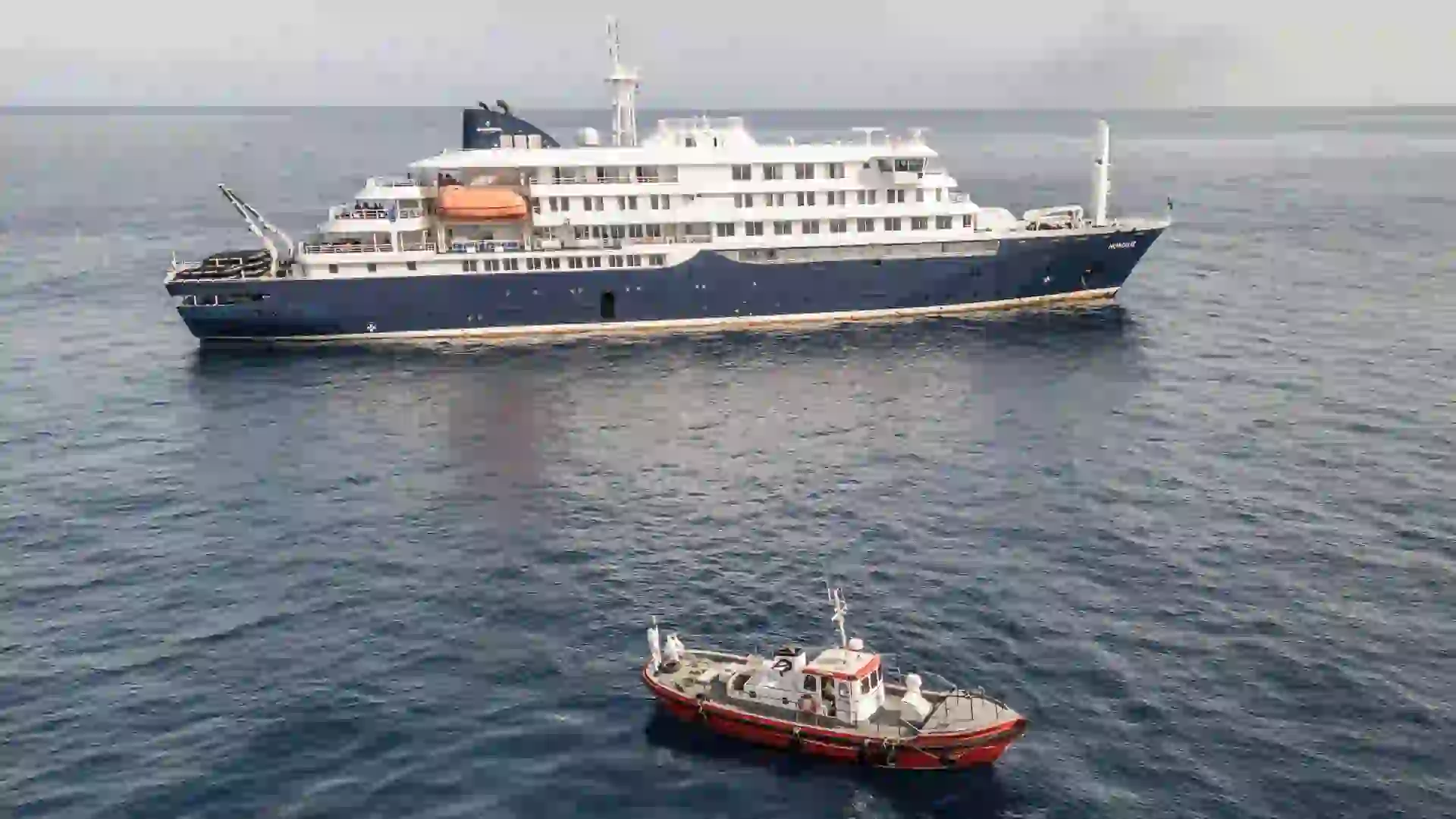 ¿Cuántos muertos y contagiados deja brote de Hantavirus en crucero por el Atlántico?