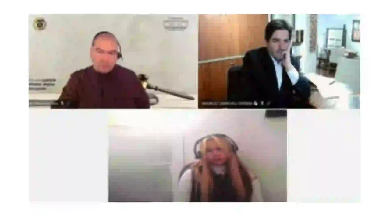 Prosecutor's Office again requested freedom for Sandra Ortiz in the UNGRD case: On what grounds?
