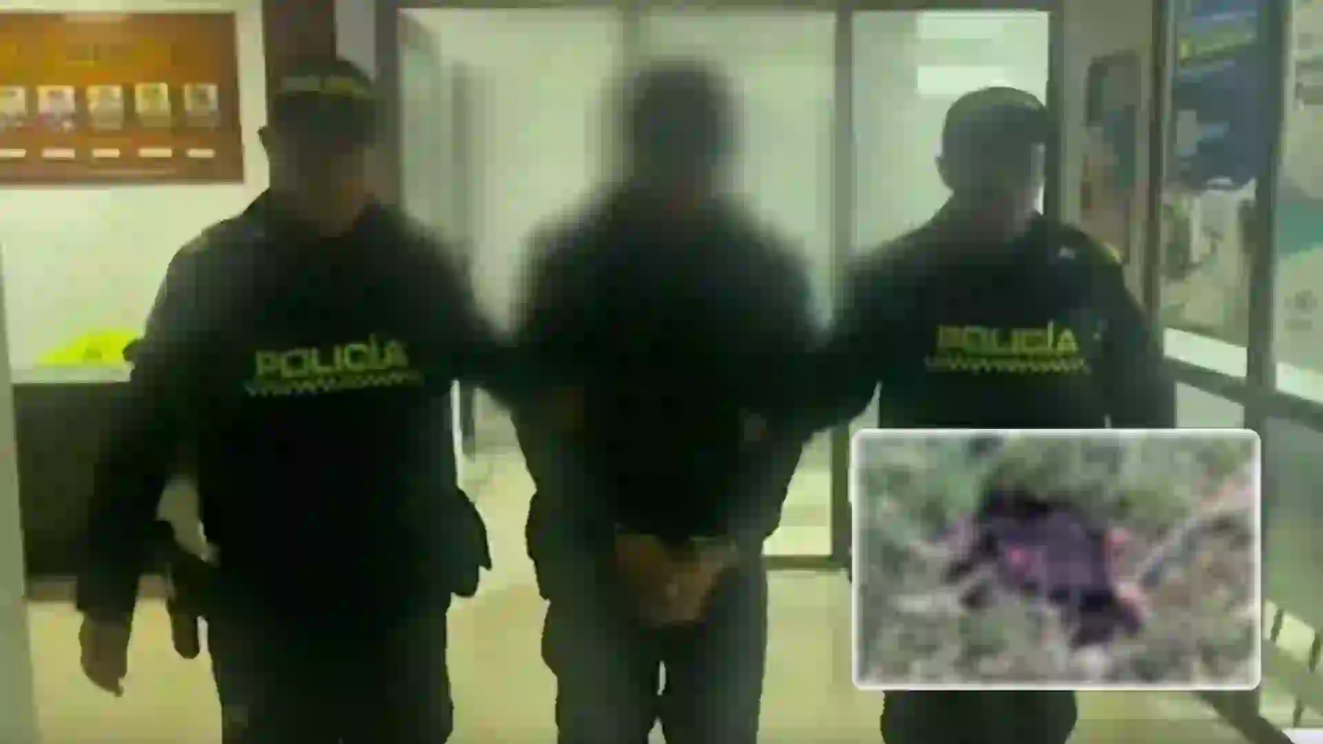 Mató cruelmente a un perro que mordió a su madre en Vélez Santander: lo capturaron en flagrancia